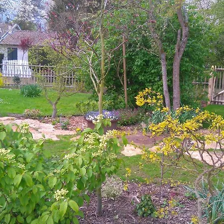 Hébergement de vacances La Cabane à Chouette